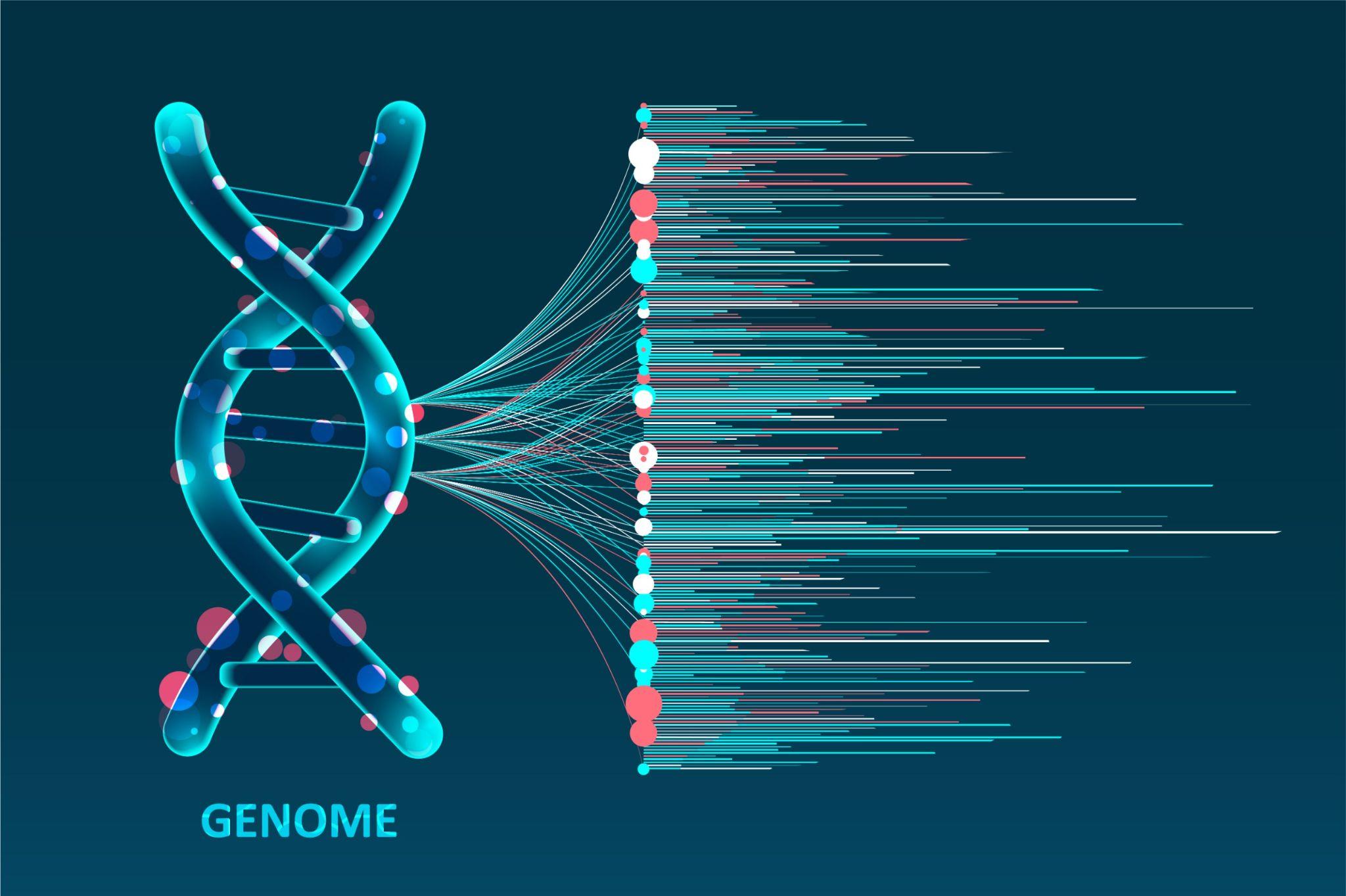 A vector image of a DNA with the word “Genome” underneath and clusters of lines sprouting from the double-helix.